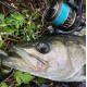 Sunline Siglon PE ADV X8 Blue 150m Плетено влакно